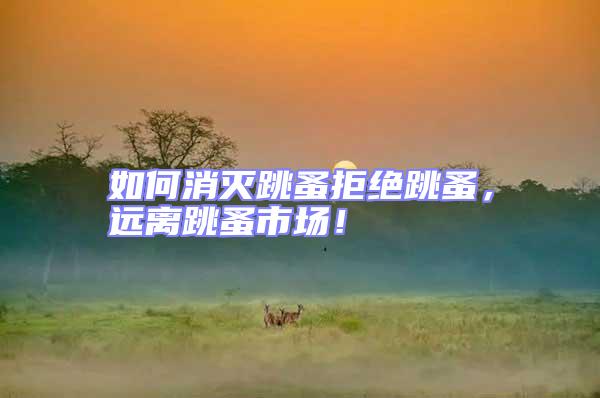 如何消滅跳蚤拒絕跳蚤，遠離跳蚤市場！