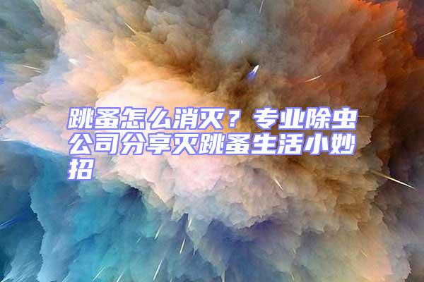 跳蚤怎么消滅?專業除蟲公司分享滅跳蚤生活小妙招