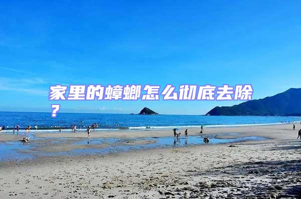 家里的蟑螂怎么徹底去除?