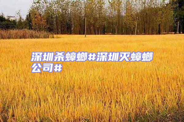 深圳殺蟑螂#深圳滅蟑螂公司#