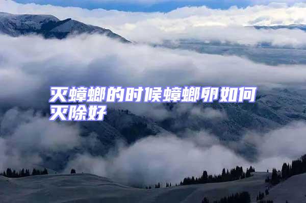 滅蟑螂的時(shí)候蟑螂卵如何滅除好