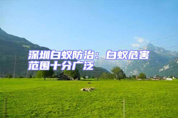 深圳白蟻防治:白蟻危害范圍十分廣泛