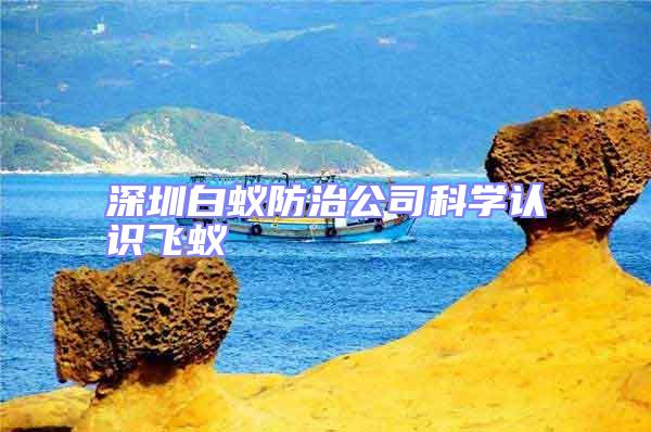 深圳白蟻防治公司科學(xué)認(rèn)識飛蟻