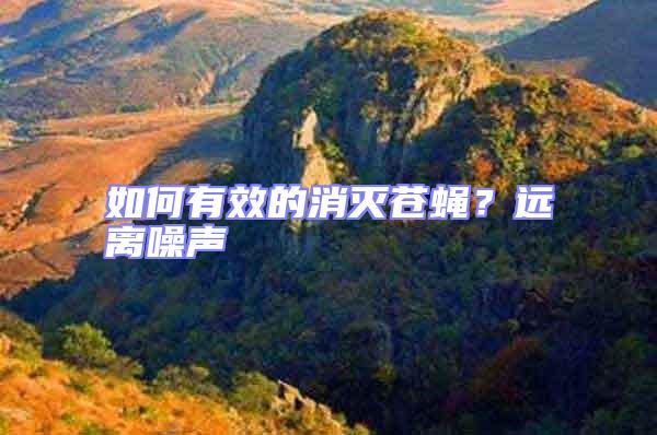 如何有效的消滅蒼蠅?遠離噪聲