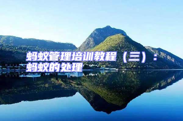 螞蟻管理培訓教程(三):螞蟻的處理