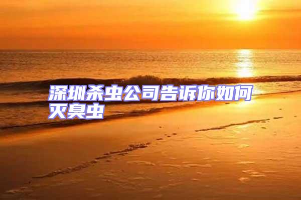 深圳殺蟲公司告訴你如何滅臭蟲