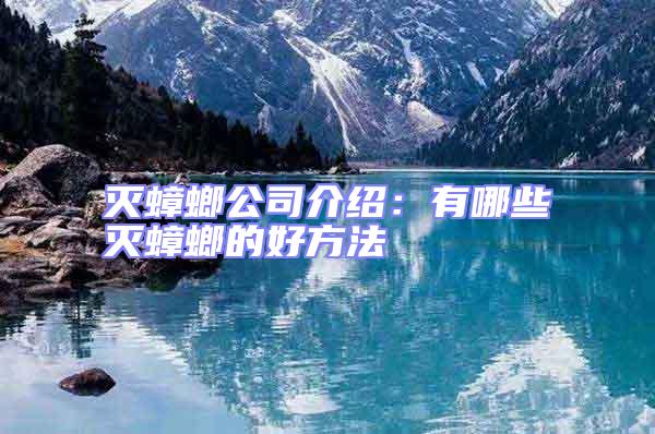 滅蟑螂公司介紹:有哪些滅蟑螂的好方法