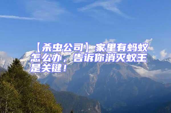 【殺蟲公司】家里有螞蟻怎么辦,告訴你消滅蟻王是關(guān)鍵!