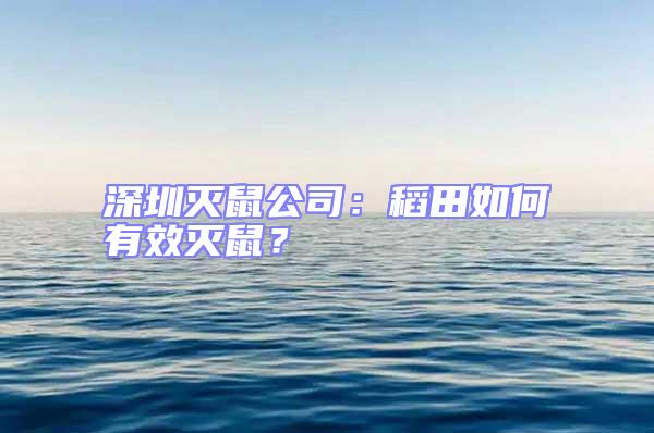 深圳滅鼠公司：稻田如何有效滅鼠？