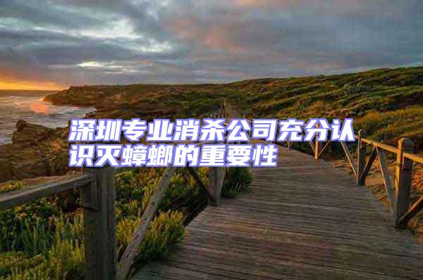 深圳專業消殺公司充分認識滅蟑螂的重要性