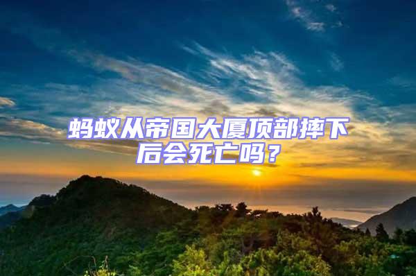螞蟻從帝國大廈頂部摔下后會死亡嗎?