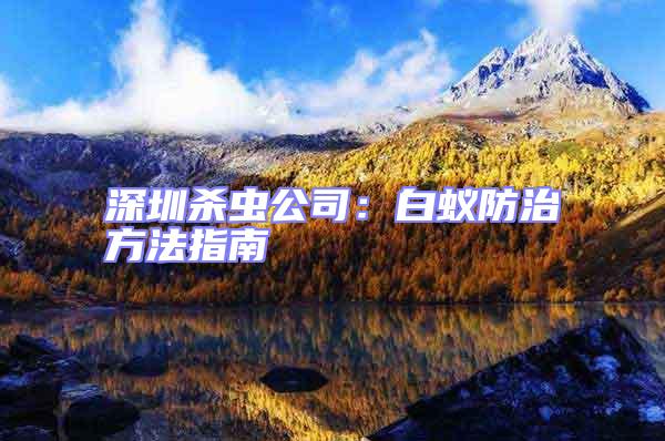 深圳殺蟲(chóng)公司:白蟻防治方法指南