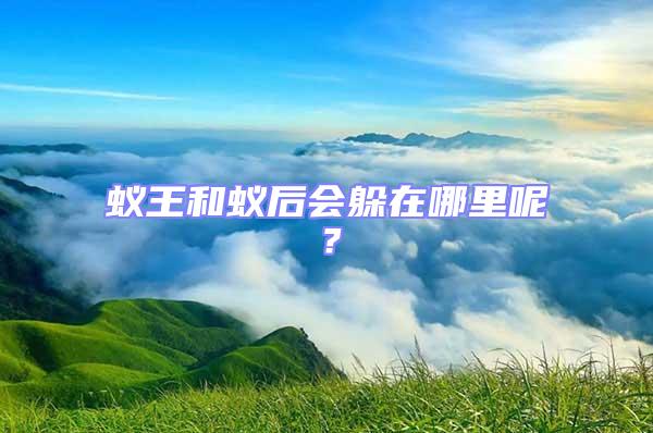 蟻王和蟻后會躲在哪里呢？