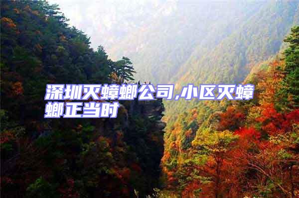 深圳滅蟑螂公司,小區滅蟑螂正當時