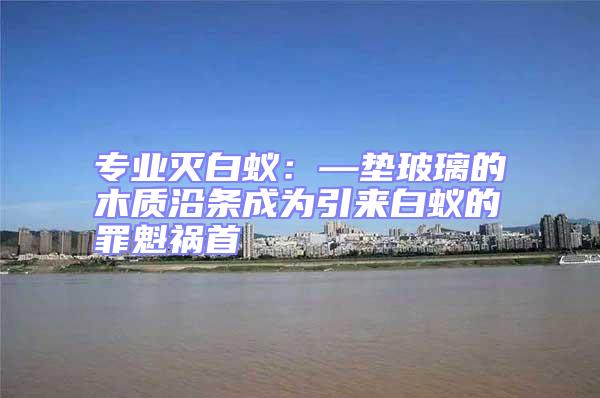 專業(yè)滅白蟻:—墊玻璃的木質(zhì)沿條成為引來白蟻的罪魁禍?zhǔn)?/></p>
<p style=