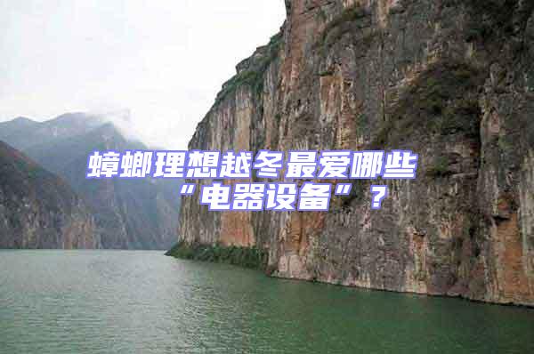 蟑螂理想越冬最愛哪些“電器設(shè)備”？