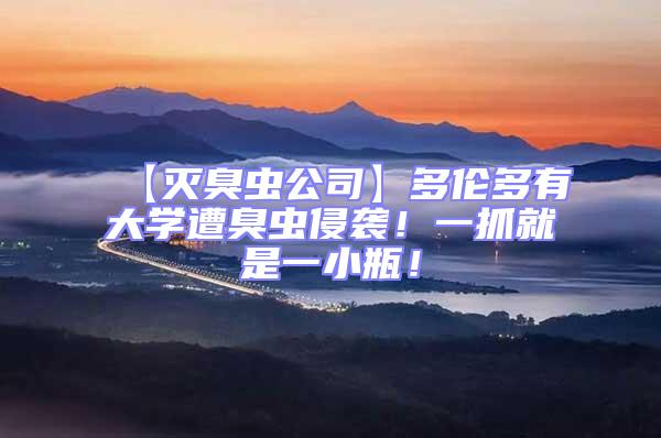 【滅臭蟲公司】多倫多有大學遭臭蟲侵襲!一抓就是一小瓶!