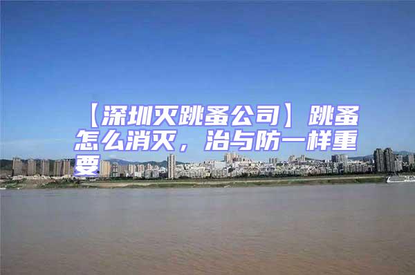 【深圳滅跳蚤公司】跳蚤怎么消滅,治與防一樣重要
