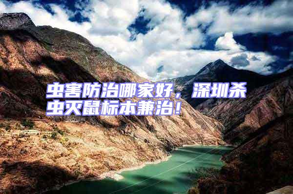 蟲害防治哪家好，深圳殺蟲滅鼠標本兼治！