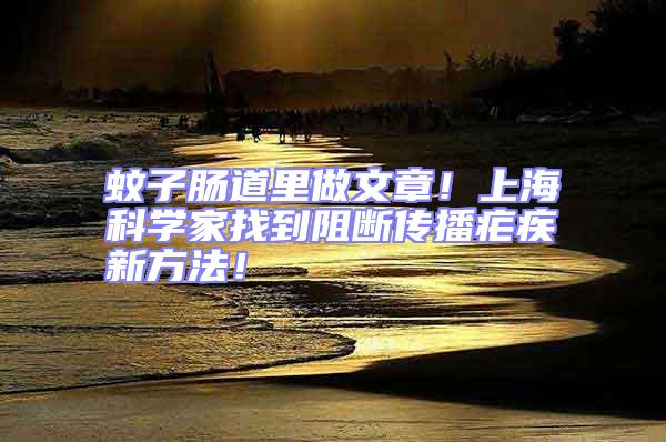 蚊子腸道里做文章！上海科學家找到阻斷傳播瘧疾新方法！