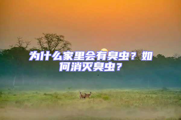 為什么家里會有臭蟲?如何消滅臭蟲?