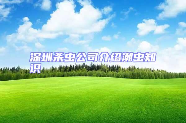 深圳殺蟲公司介紹潮蟲知識(shí)