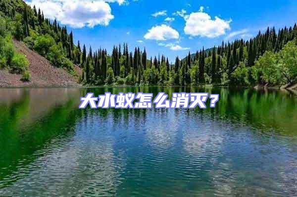 大水蟻怎么消滅?