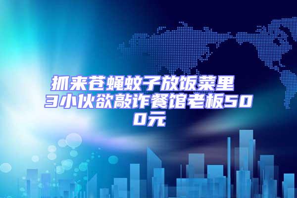抓來(lái)蒼蠅蚊子放飯菜里 3小伙欲敲詐餐館老板500元