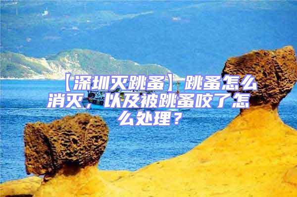 【深圳滅跳蚤】跳蚤怎么消滅，以及被跳蚤咬了怎么處理？