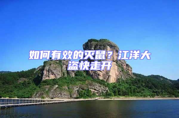 如何有效的滅鼠？江洋大盜快走開