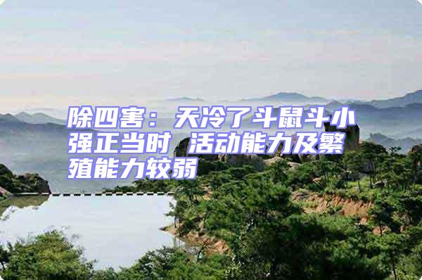 除四害:天冷了斗鼠斗小強正當時 活動能力及繁殖能力較弱