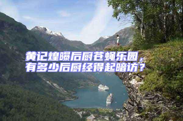 黃記煌曝后廚蒼蠅樂(lè)園， 有多少后廚經(jīng)得起暗訪？