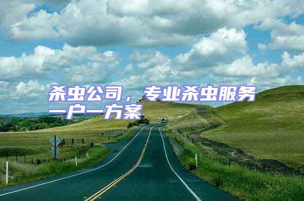 殺蟲公司，專業(yè)殺蟲服務(wù)一戶一方案