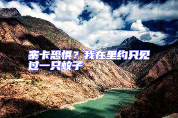 寨卡恐懼?我在里約只見過一只蚊子