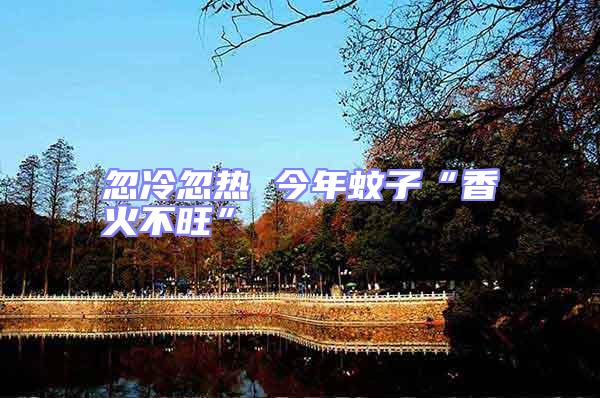 忽冷忽熱 今年蚊子“香火不旺”