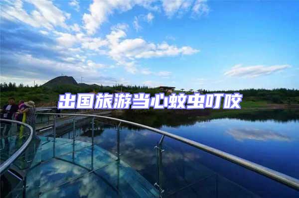 出國(guó)旅游當(dāng)心蚊蟲叮咬