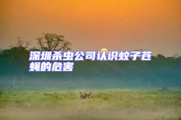 深圳殺蟲(chóng)公司認(rèn)識(shí)蚊子蒼蠅的危害