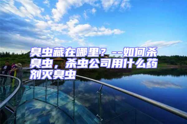 臭蟲藏在哪里？--如何殺臭蟲，殺蟲公司用什么藥劑滅臭蟲