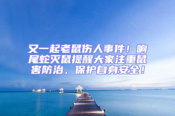 又一起老鼠傷人事件!響尾蛇滅鼠提醒大家注重鼠害防治,保護自身安全!