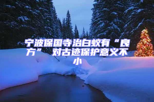 寧波保國寺治白蟻有“良方” 對古跡保護(hù)意義不小