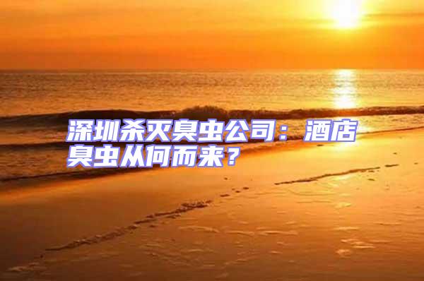 深圳殺滅臭蟲公司：酒店臭蟲從何而來？