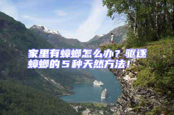 家里有蟑螂怎么辦？驅逐蟑螂的５種天然方法！