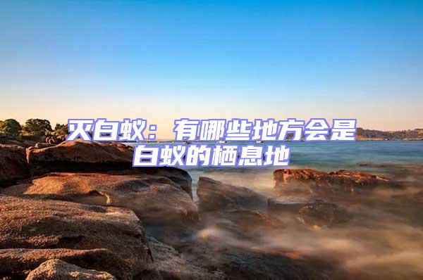 滅白蟻:有哪些地方會是白蟻的棲息地