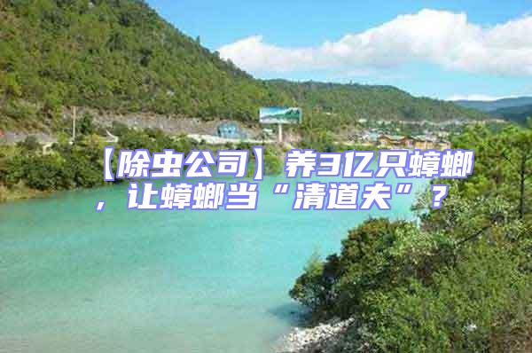 【除蟲公司】養(yǎng)3億只蟑螂,讓蟑螂當(dāng)“清道夫”?