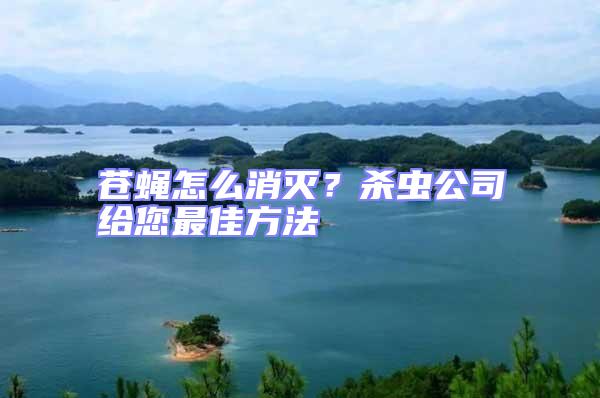 蒼蠅怎么消滅？殺蟲公司給您最佳方法