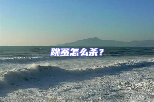 跳蚤怎么殺？