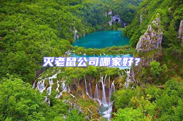 滅老鼠公司哪家好?