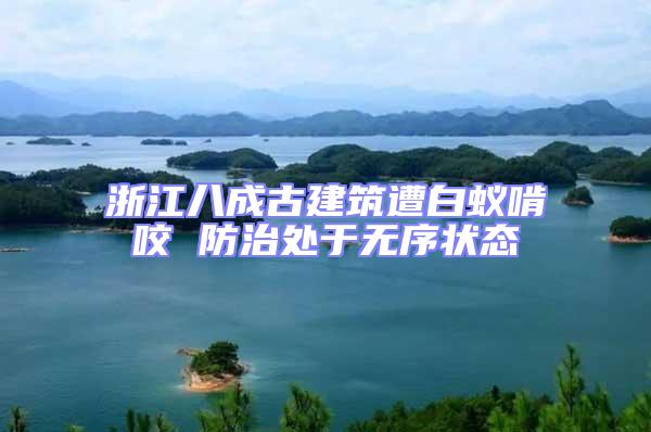 浙江八成古建筑遭白蟻啃咬 防治處于無(wú)序狀態(tài)