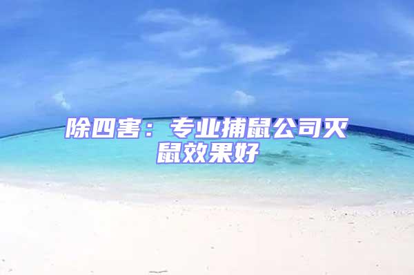 除四害:專業捕鼠公司滅鼠效果好