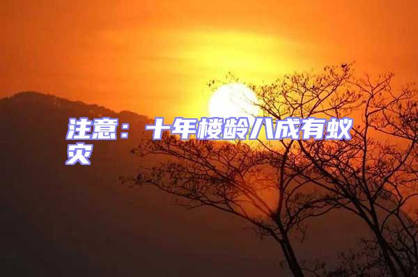 注意:十年樓齡八成有蟻災